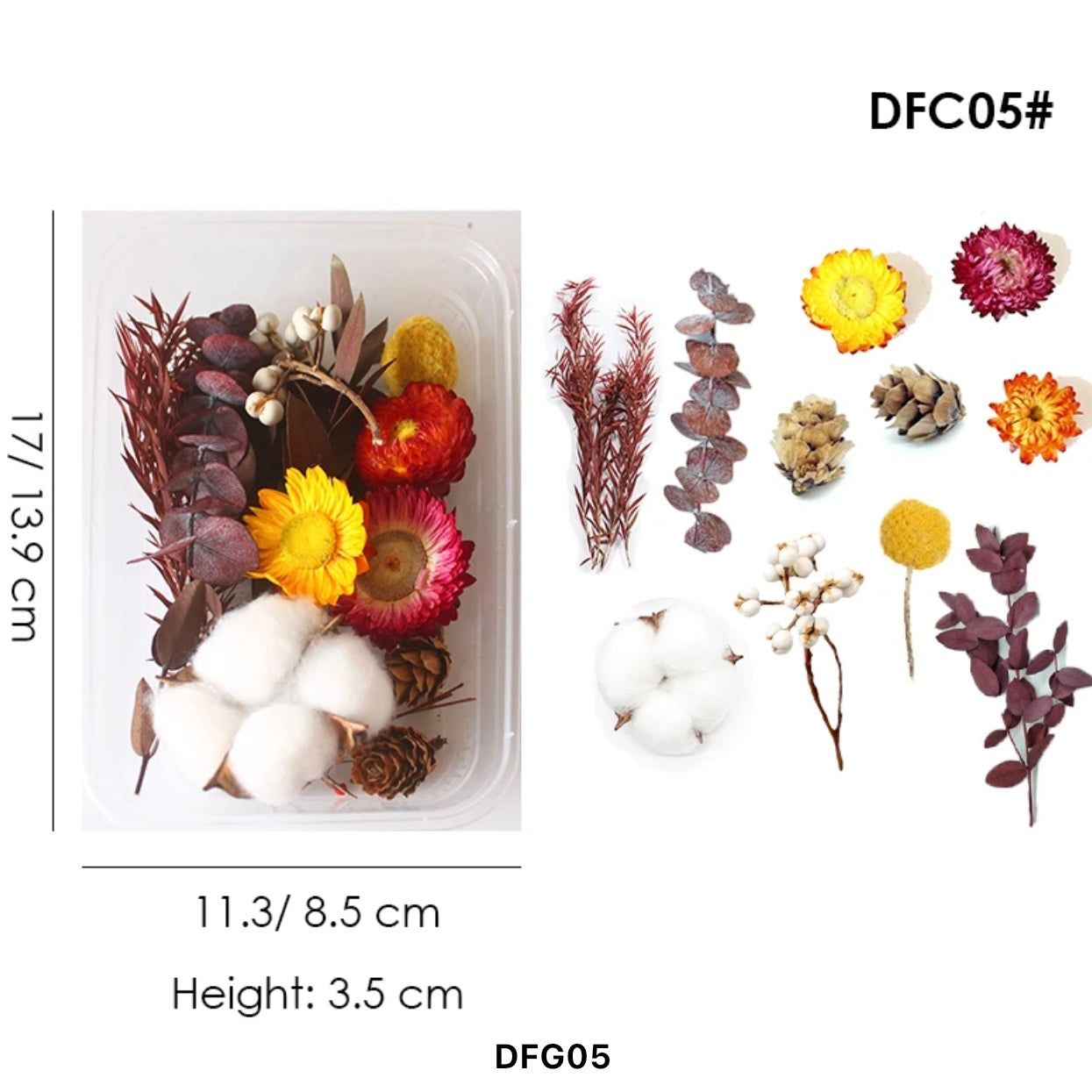 Dried Flower Set #DFG05