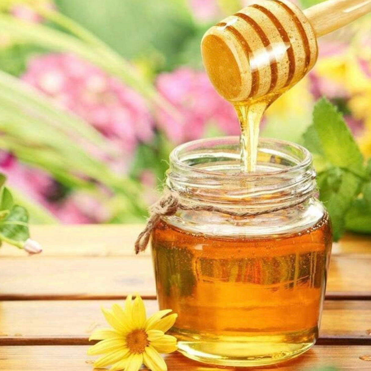 X12pcs Wooding Honey Spoon #HS1996