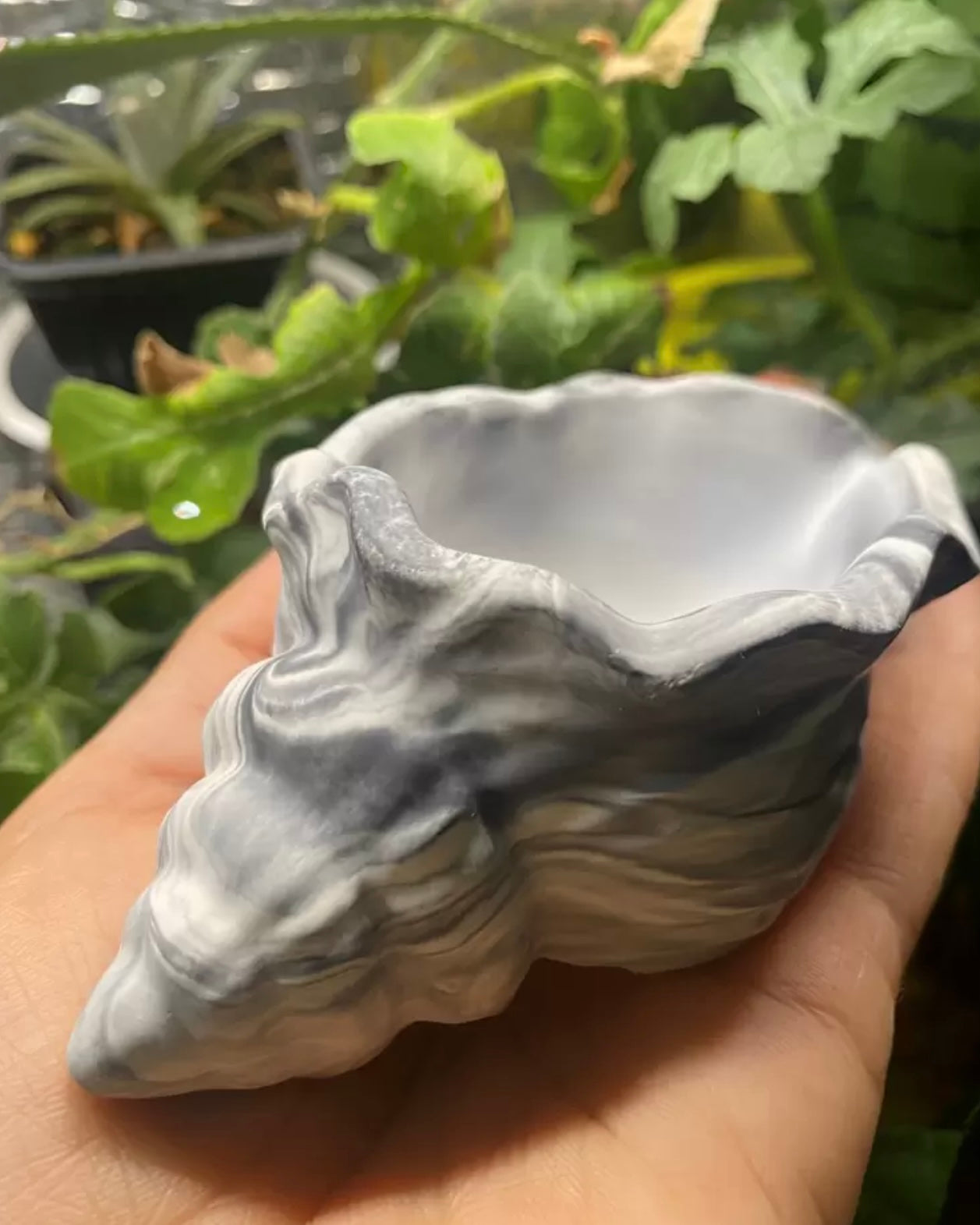 SeaShell Silicone Mold #SM2025