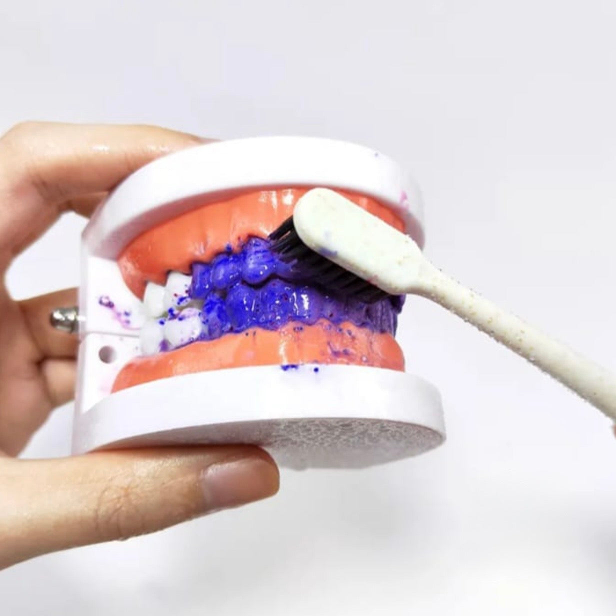 Premium Oral Care Kit V34 Colour
Corrector #TF042