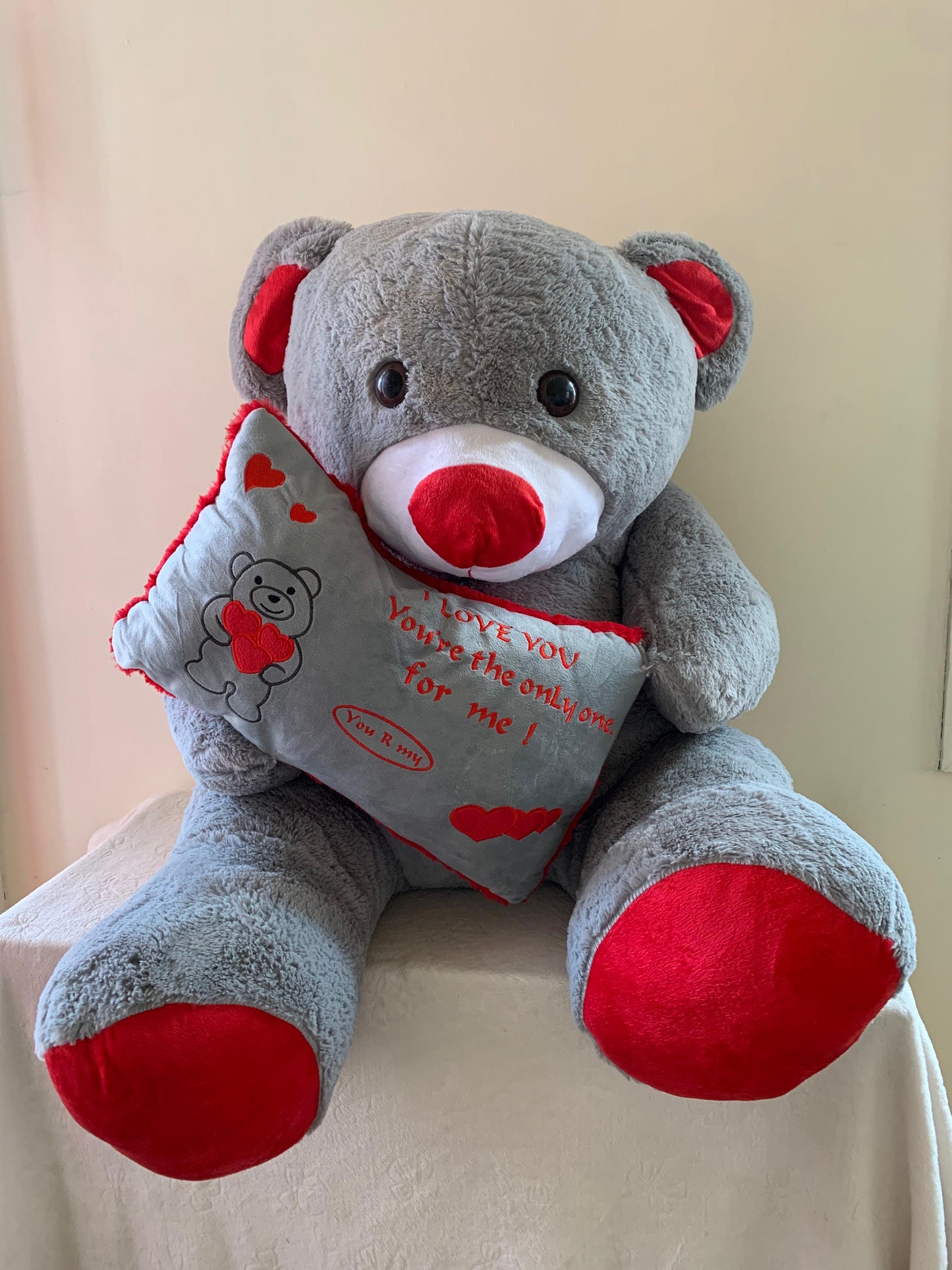 100cm Giant Teddy Bear with Love Pillow – Romantic Gift #TB2957