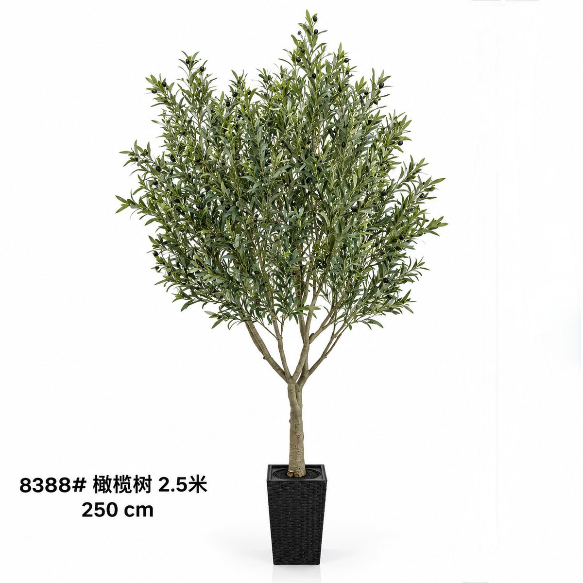 Artificial Olive Tree – 250 cm #AT4206