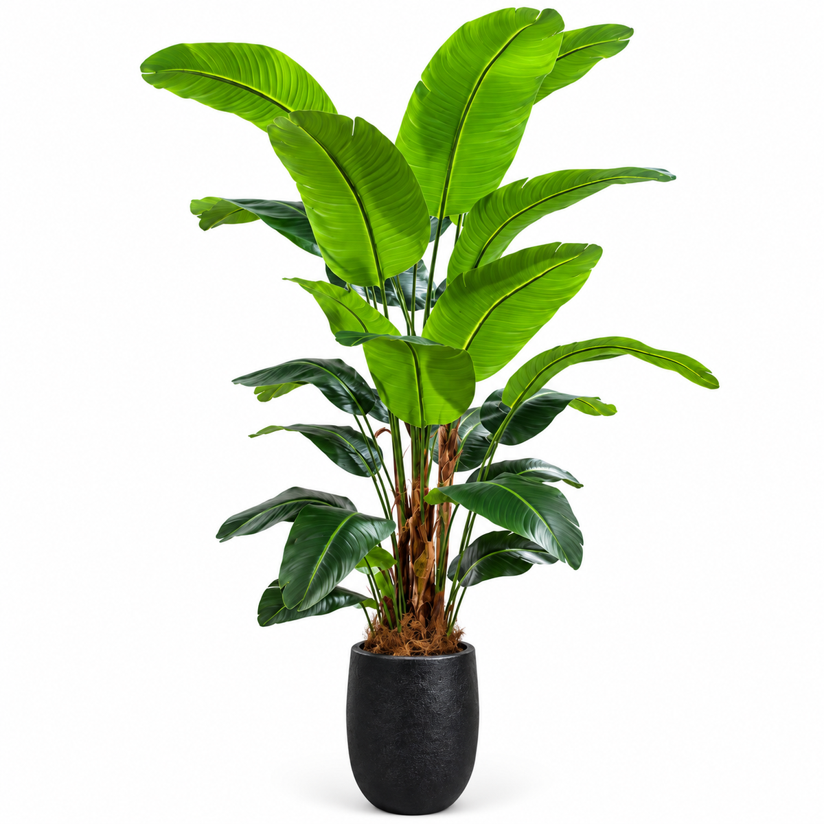 Artificial Banana Leaf Plant #AP4277