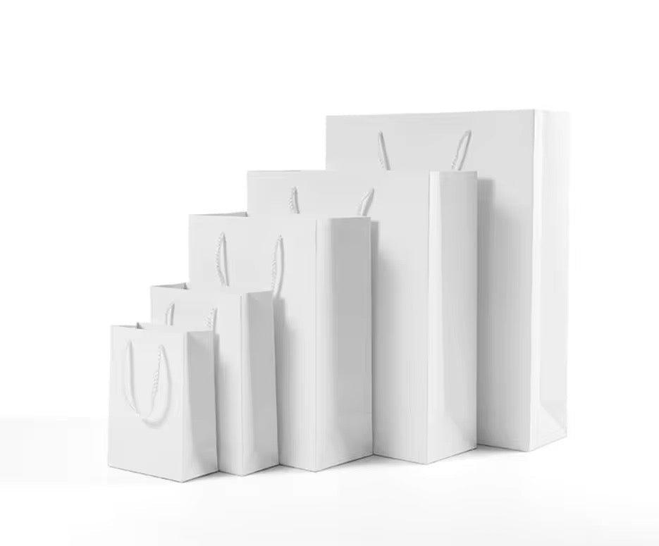 X12pcs Premium Carton Gift Bags with Rope Handles – Assorted Colors #CB4201