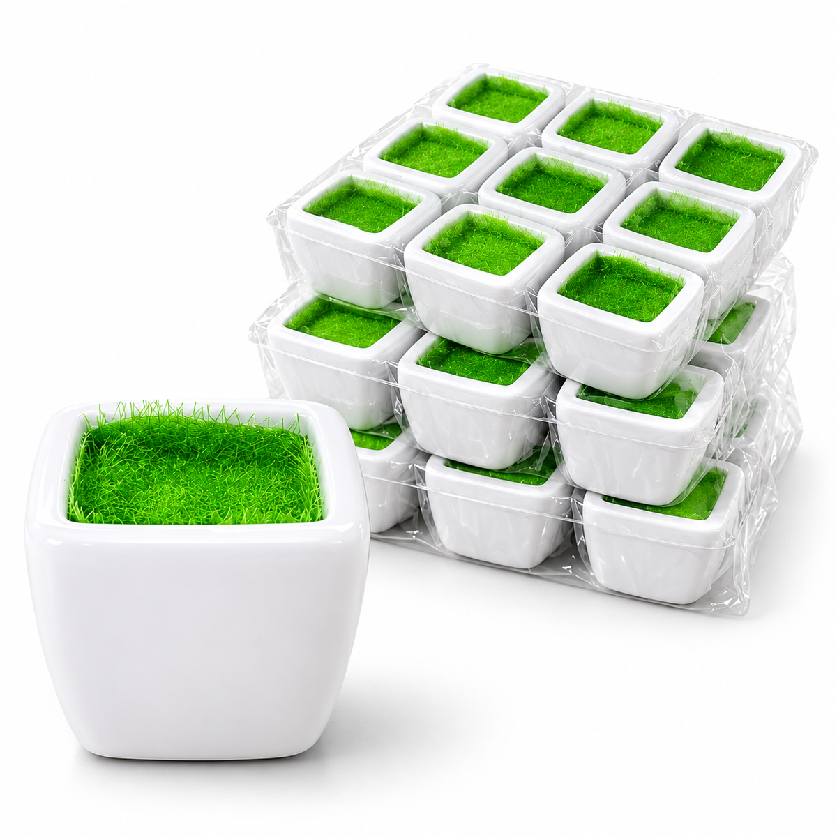 X12pcs Mini White Ceramic-Style Decorative Plant Pots – Set of 12 #PP4548