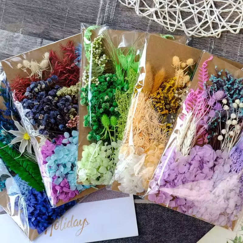 Dried Flowers Assorted Color Sets – Natural Preserved  #DF2735