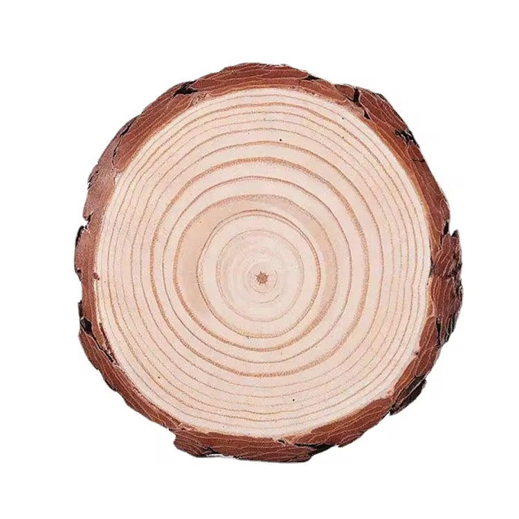 X12pcs Natural Wood Slice Coasters