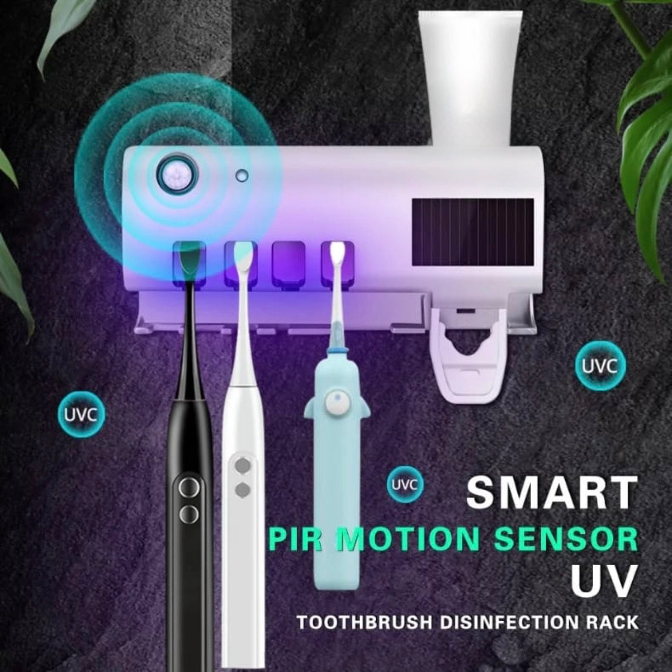 Toothbrush/Toothpaste Holder #TF021