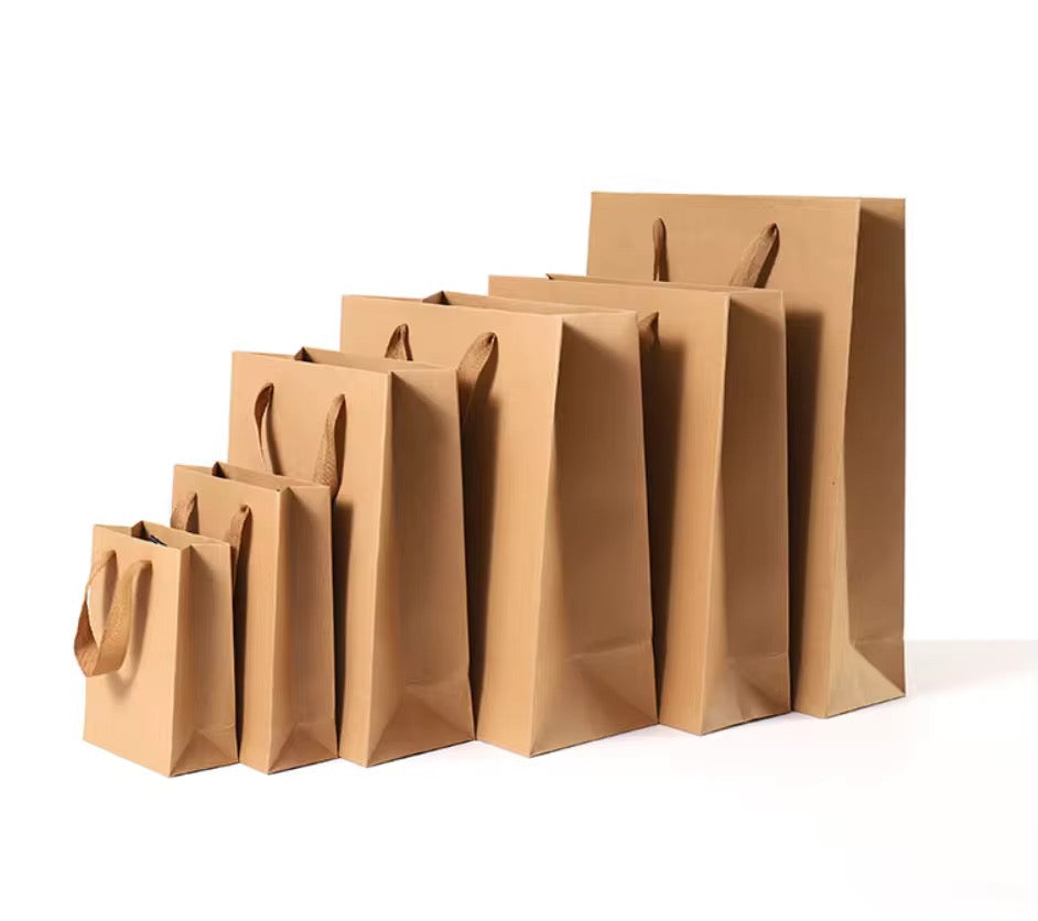 X12pcs Premium Carton Gift Bags with Rope Handles – Assorted Colors #CB4201