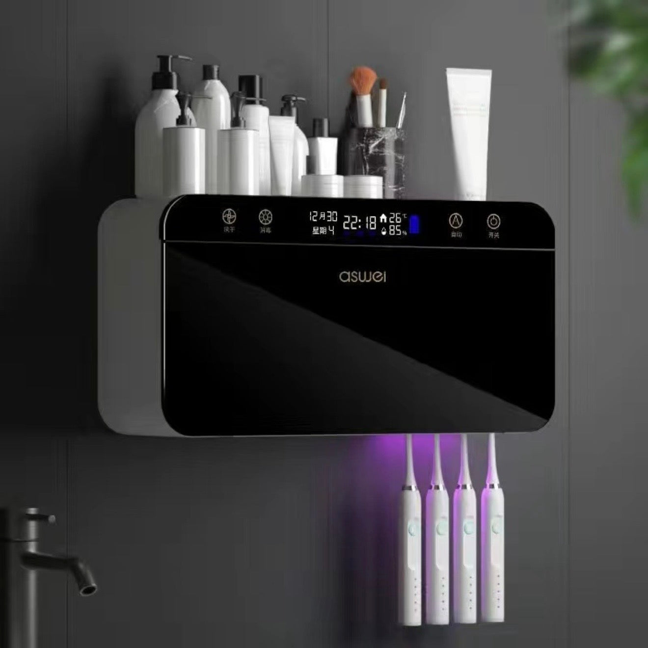 2024 Toothbrush/Toothpaste Holder #TF023