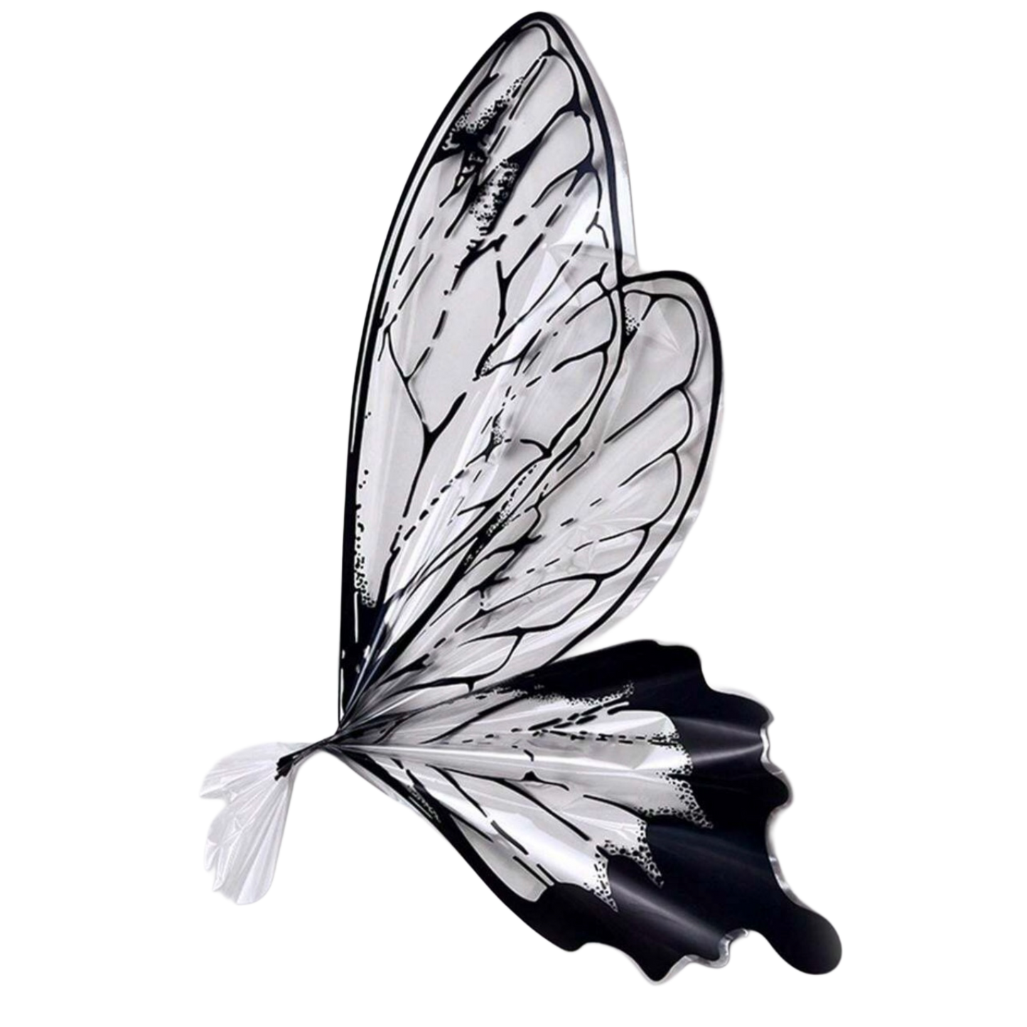 5 Sets-Pack Colorful Butterfly 50*56cm #WP1366