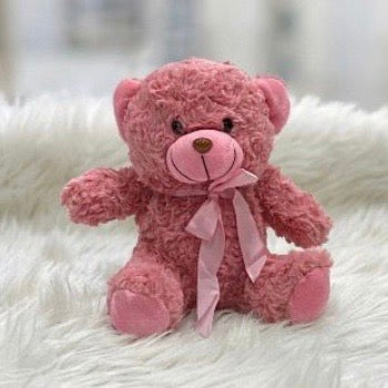 Teddy Bear Plush – 20cm #TB4048