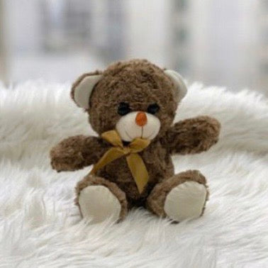 Teddy Bear Plush – 20cm #TB4048