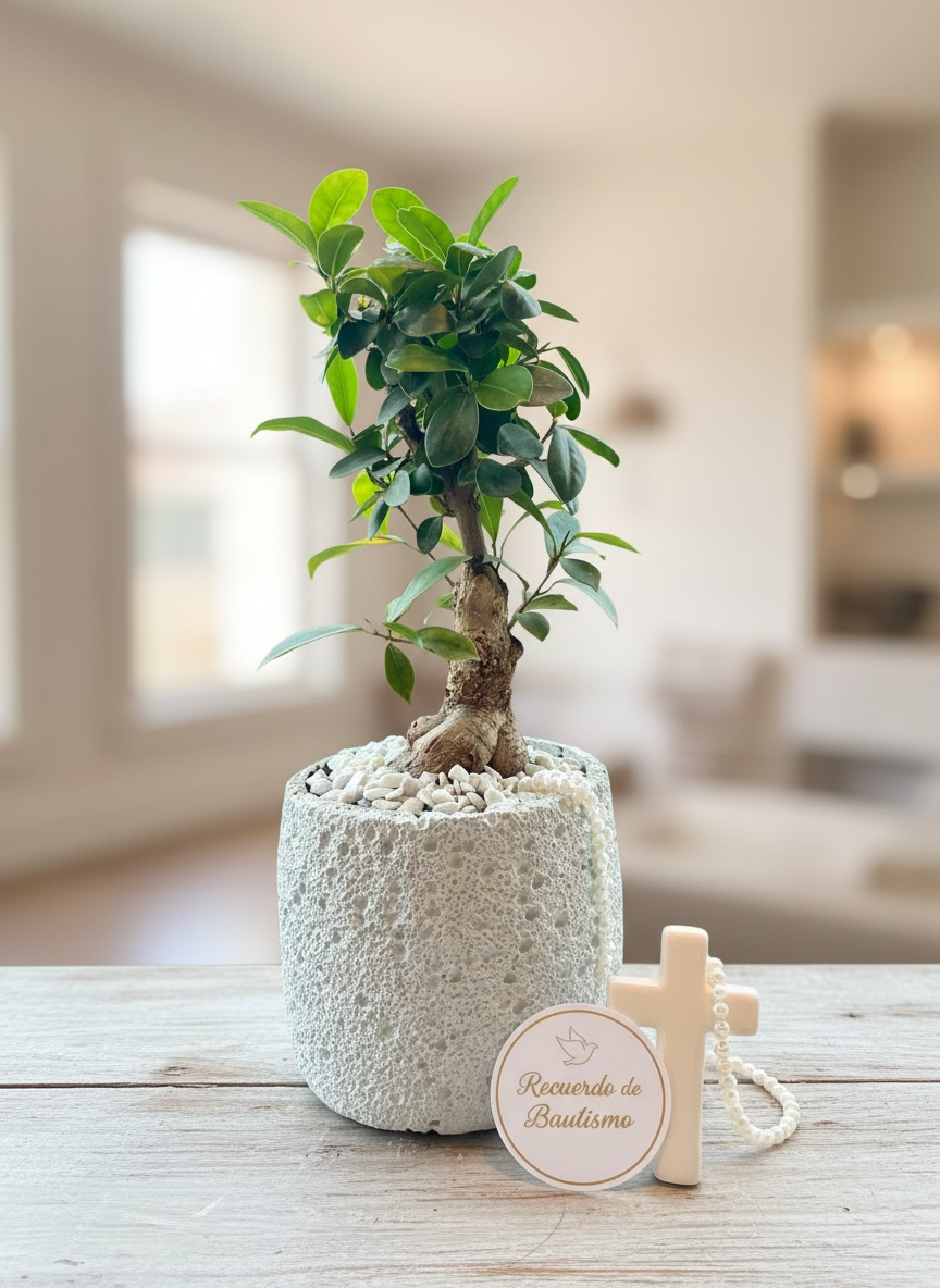 Natural Bonsai Plant in Decorative Stone Pot #BL3950