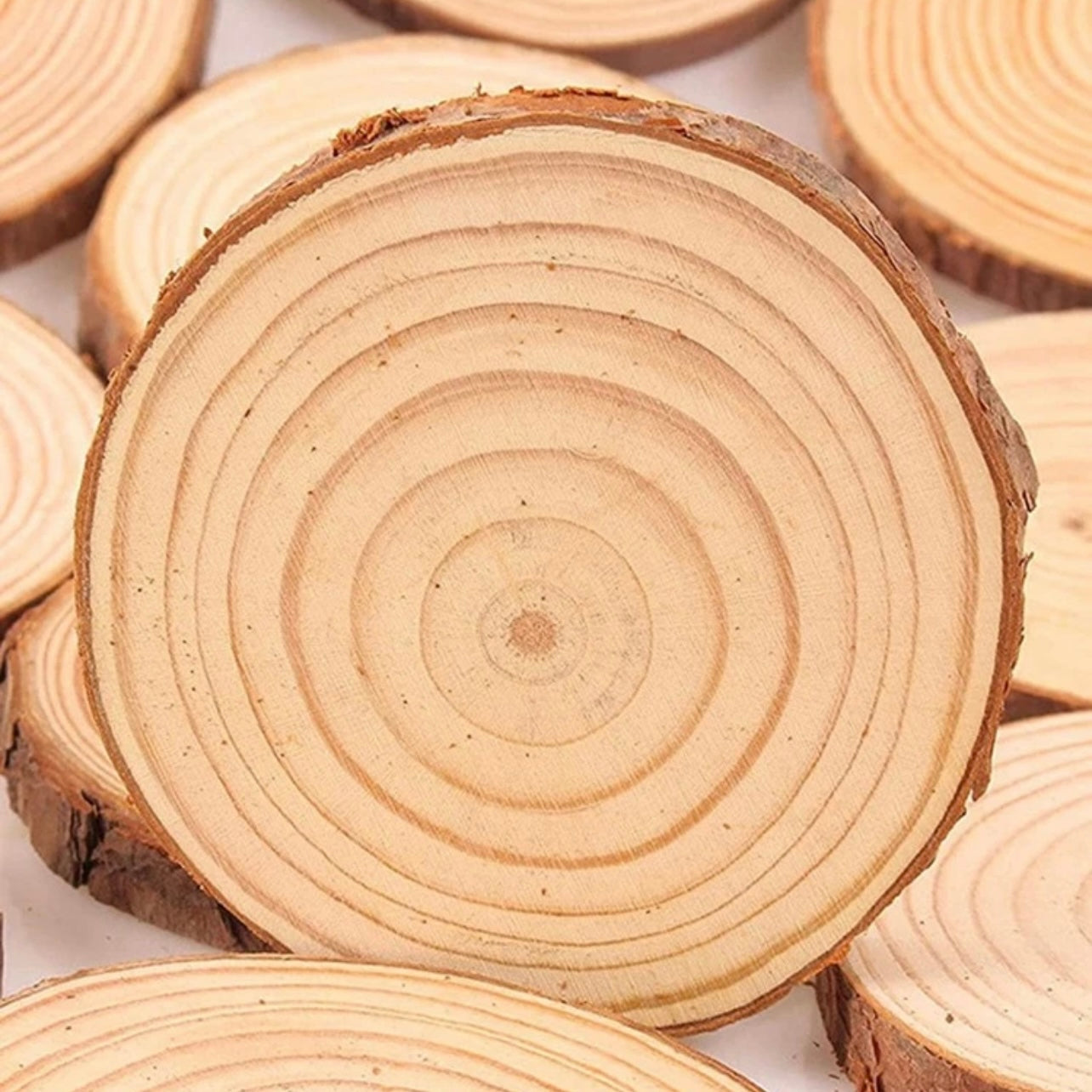 X12pcs Natural Wood Slice Coasters