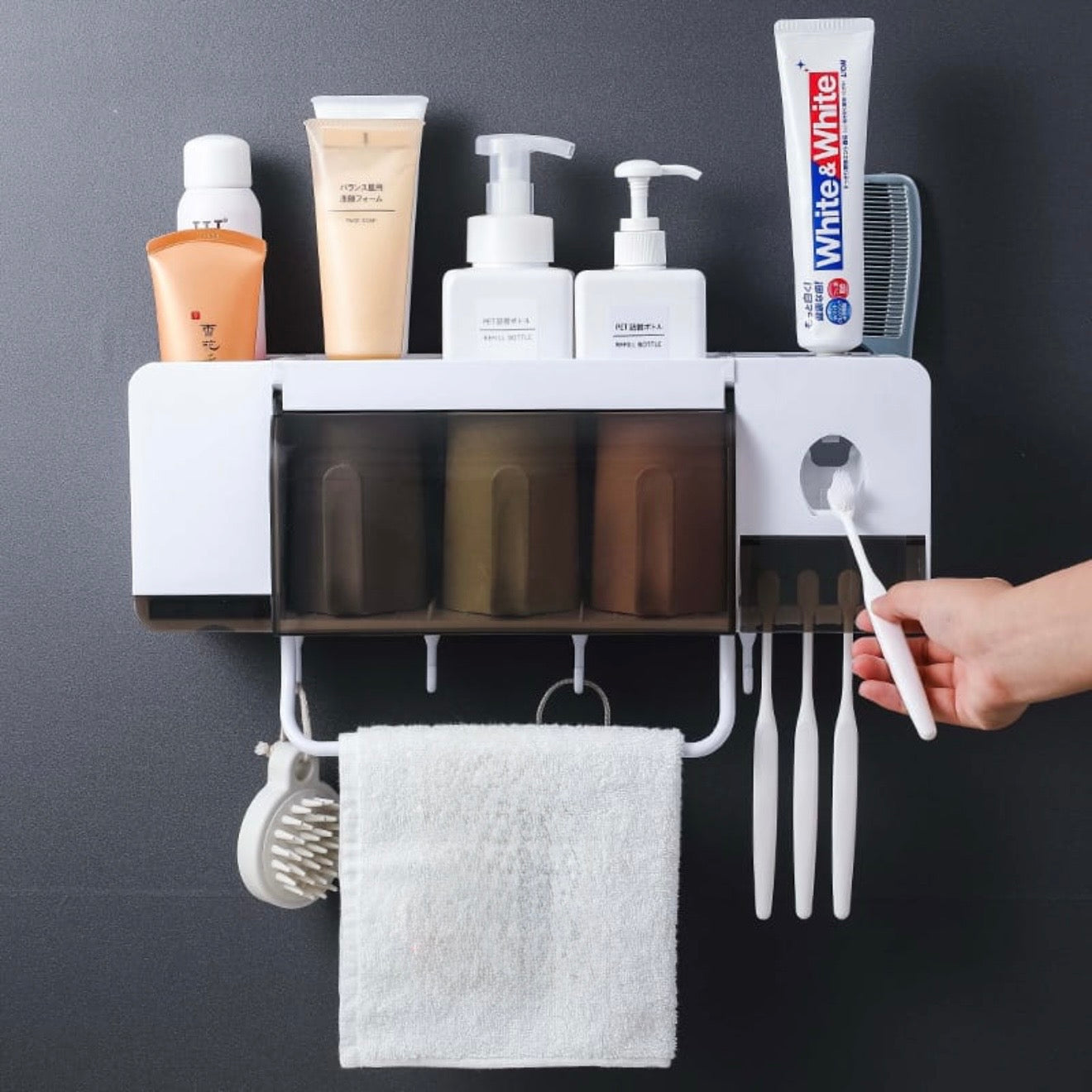 Toothbrush/Toothpaste Holder #TF027