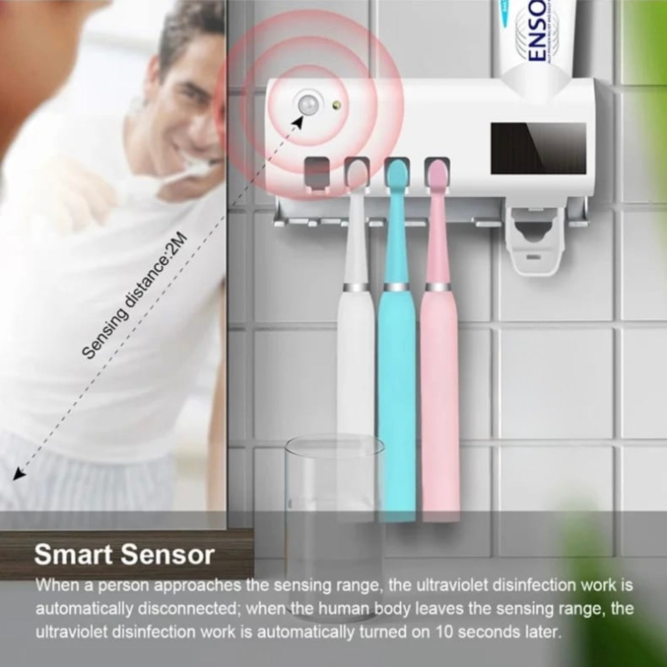 Toothbrush/Toothpaste Holder #TF021