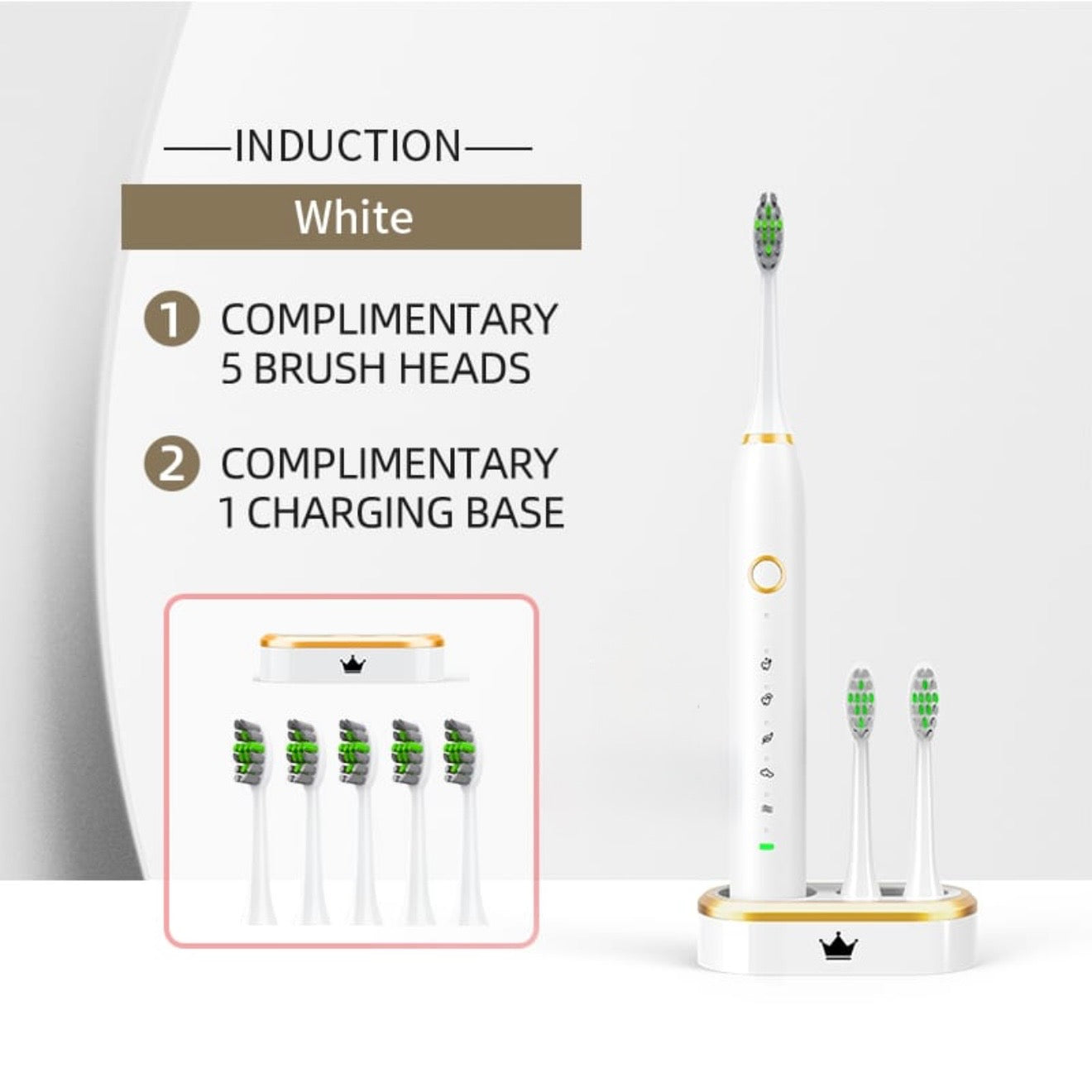 Classic Inductive Charging Electric Toothbrush #TF002