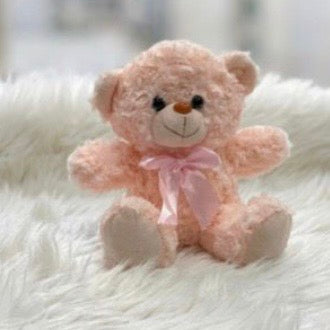 Teddy Bear Plush – 20cm #TB4048