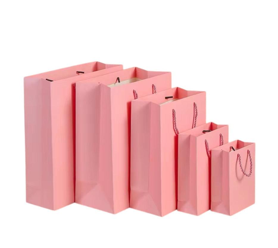 X12pcs Premium Carton Gift Bags with Rope Handles – Assorted Colors #CB4201