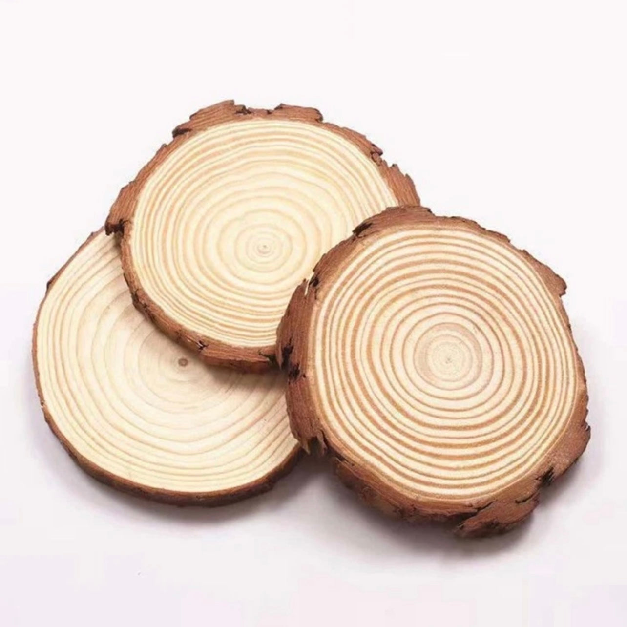 X12pcs Natural Wood Slice Coasters