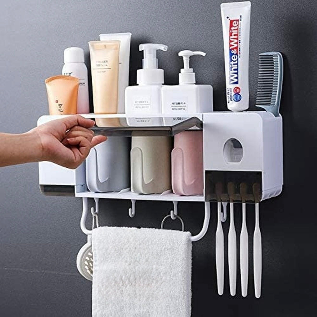 Toothbrush/Toothpaste Holder #TF027