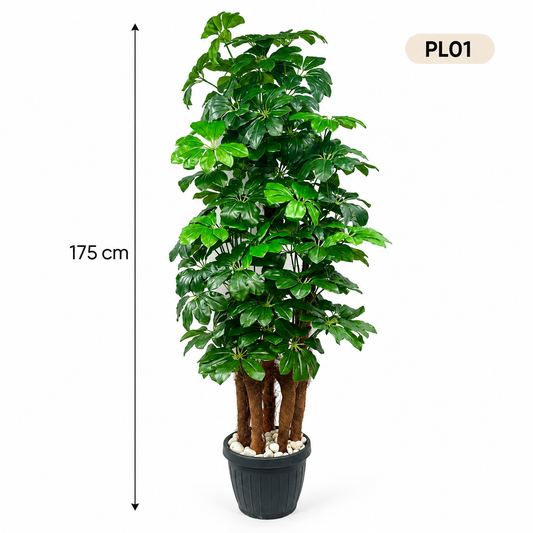 PL01 – Artificial Schefflera Tree – 175cm