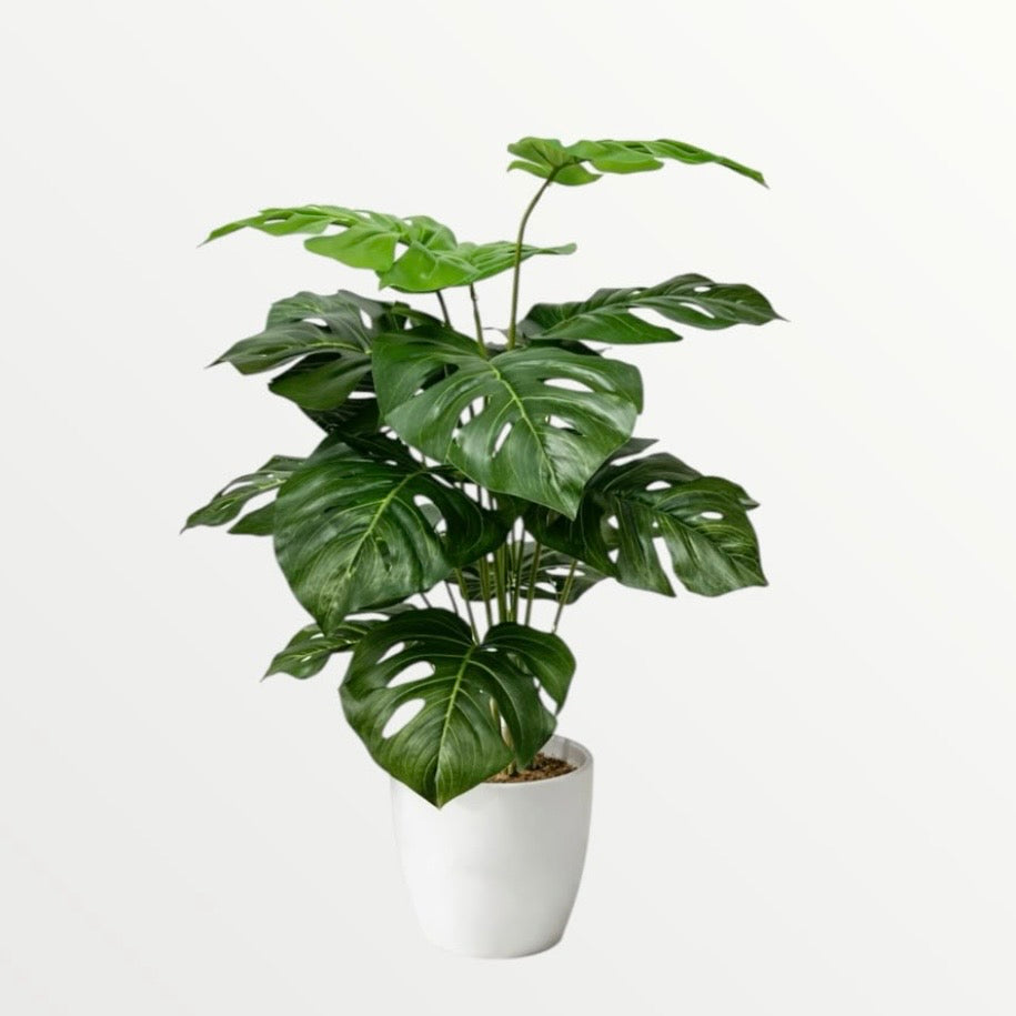 Artificial Monstera Plant – 80cm #AP4056