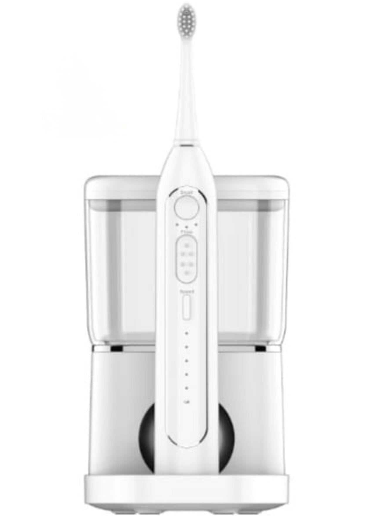 2024 New 3 in 1 (brush +floos+both) #TF053