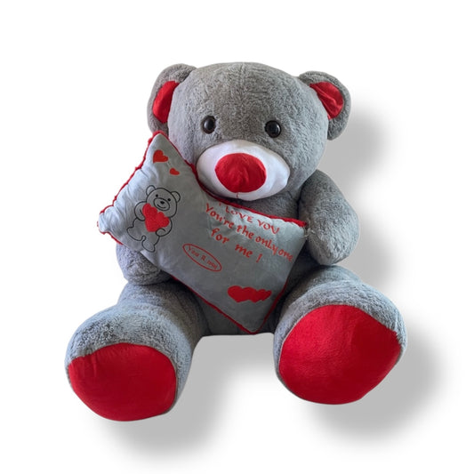 100cm Giant Teddy Bear with Love Pillow – Romantic Gift #TB2957
