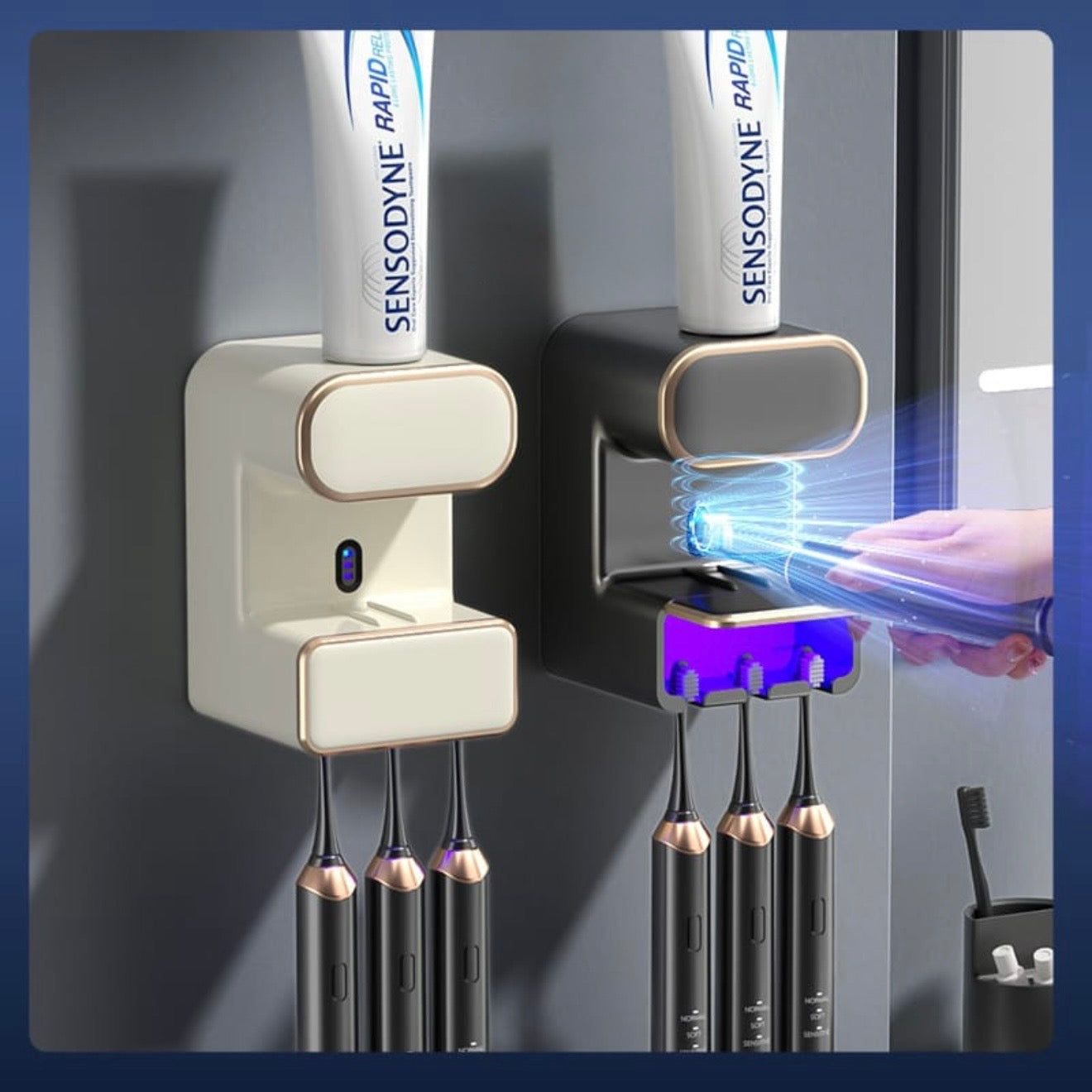 2024 New Toothbrush/Toothpaste Holder TF029