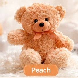 Teddy Bear Plush – 20cm #TB4048