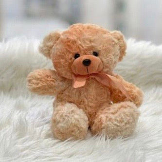 Teddy Bear Plush – 20cm #TB4048