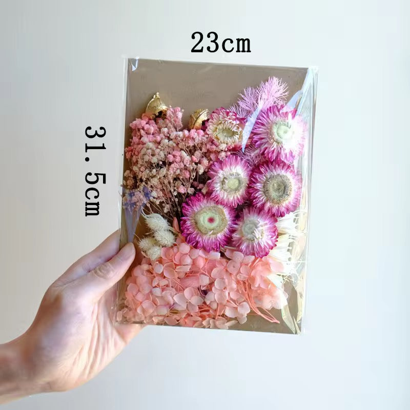 Dried Flowers Assorted Color Sets – Natural Preserved  #DF2735