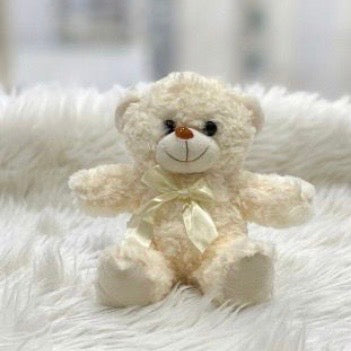 Teddy Bear Plush – 20cm #TB4048