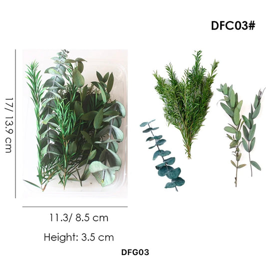 Dried Flower Set #DFG03