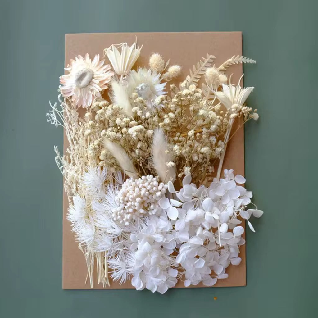 Dried Flowers Assorted Color Sets – Natural Preserved  #DF2735