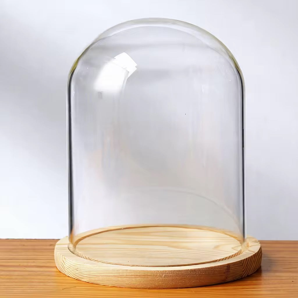 Glass Dome with Bamboo Base 16x12cm #GD2582