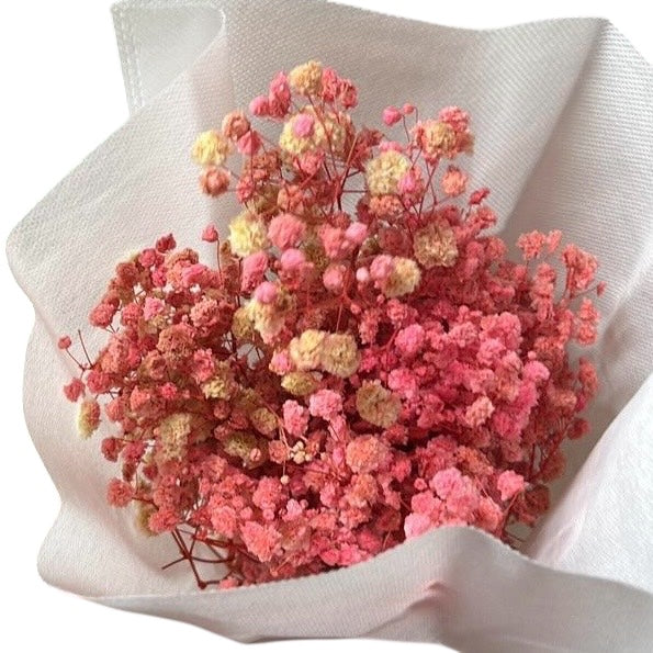 Pink Gypsophila 120g #DG2004
