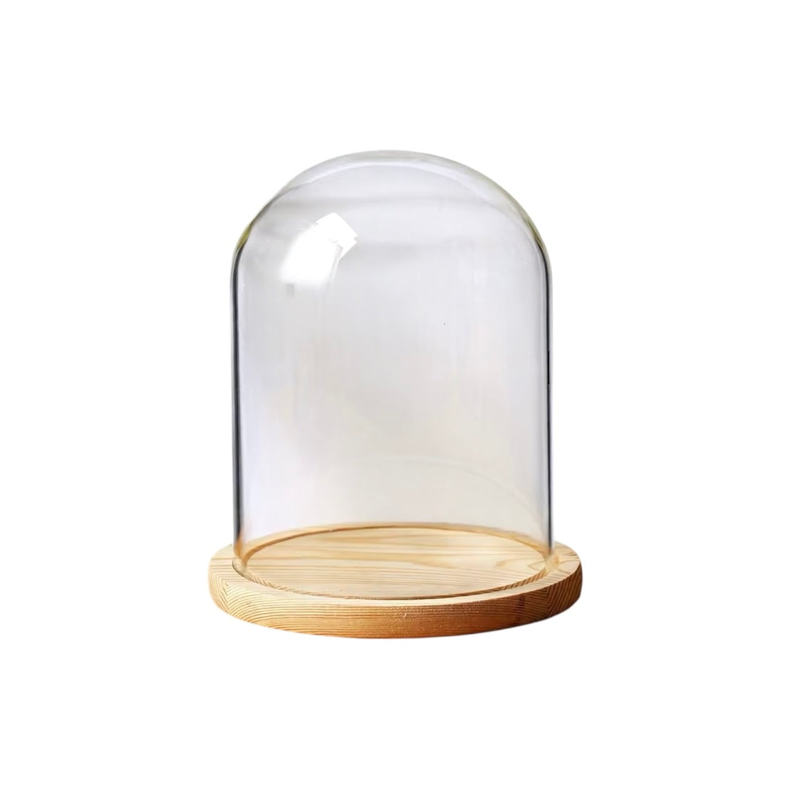 Glass Dome with Bamboo Base 16x12cm #GD2582