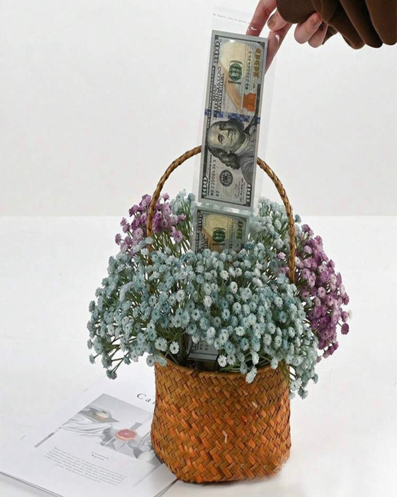 Transparent Money Box #MB1074