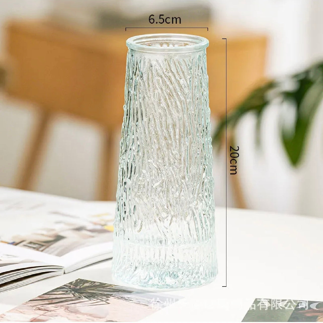 20x6.5cm - Elegant Glass Vase, Decorative Flower Arrangement Jar #GV2810