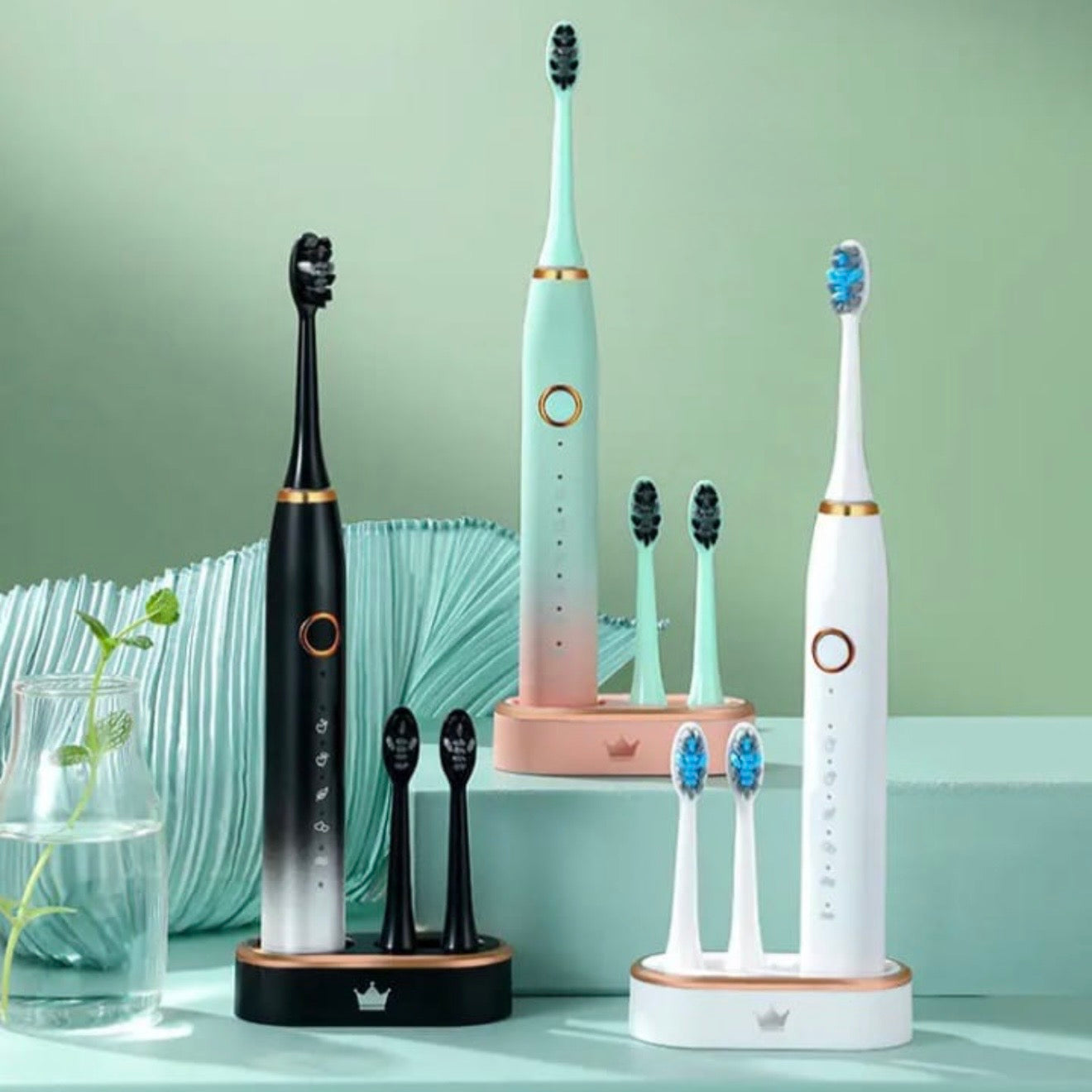 Classic Inductive Charging Electric Toothbrush #TF002
