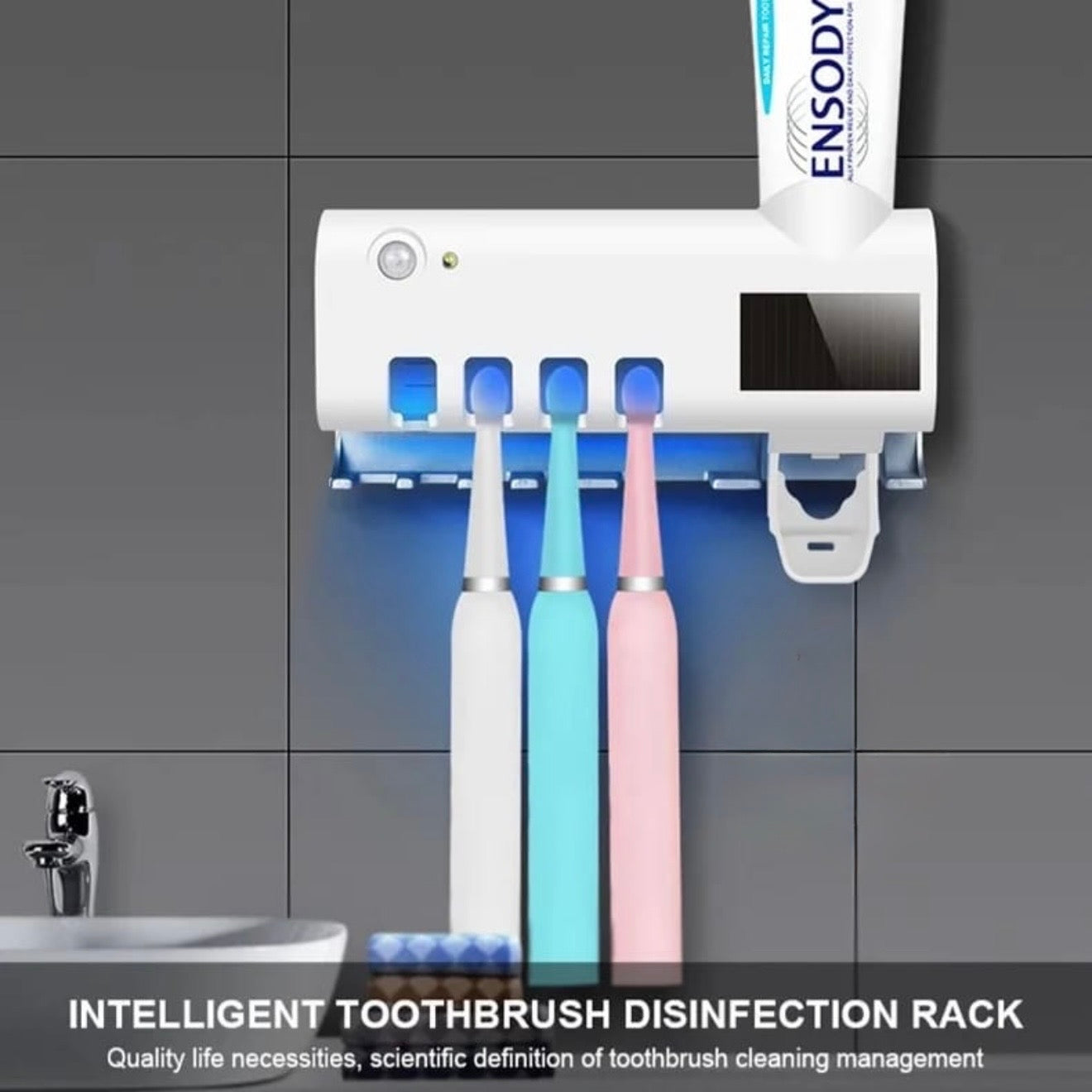 Toothbrush/Toothpaste Holder #TF021