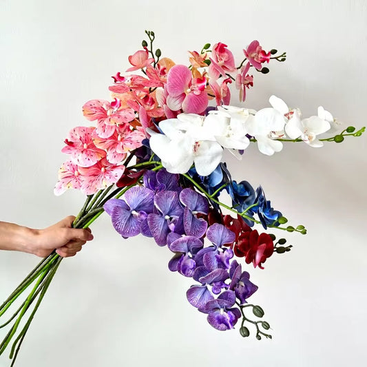 75cm Artificial Phalaenopsis Orchid Stem – Multiple Colors #AF3996