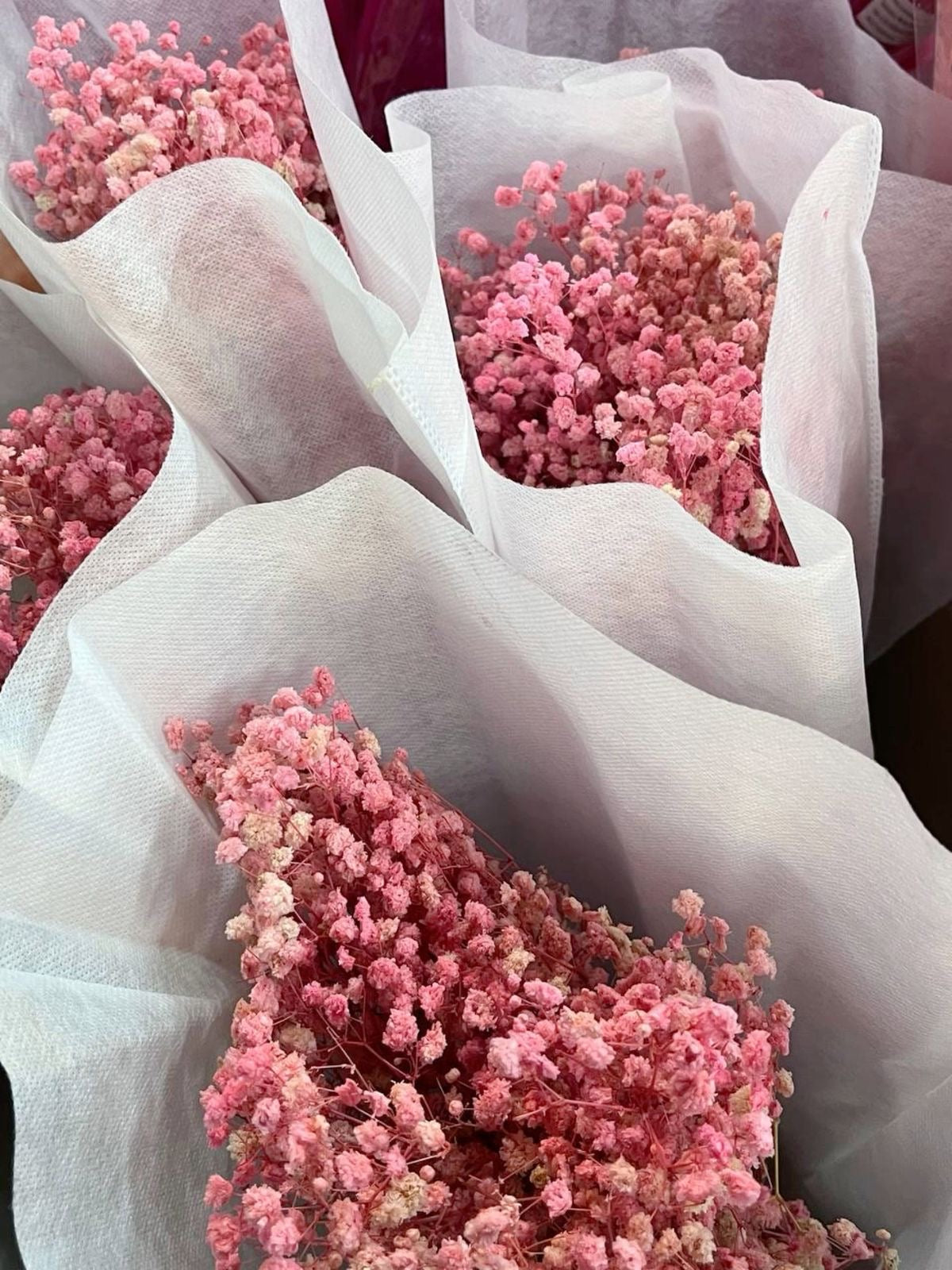 Pink Gypsophila 120g #DG2004