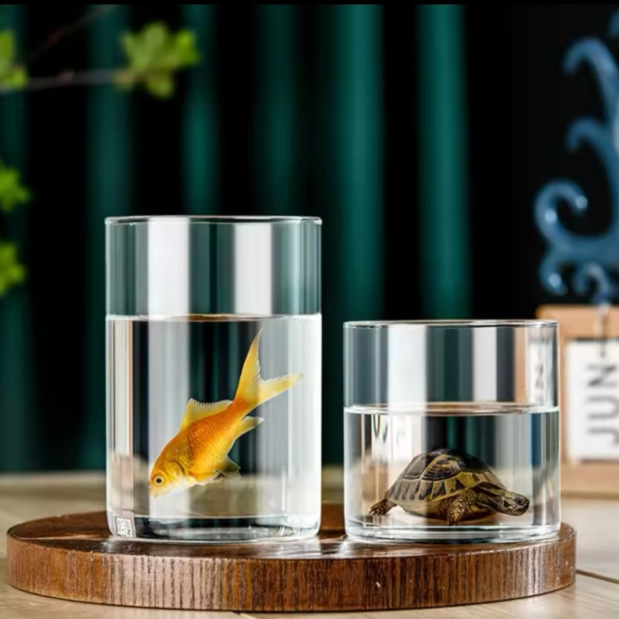 Vase Flower Arrangement Transparent Glass