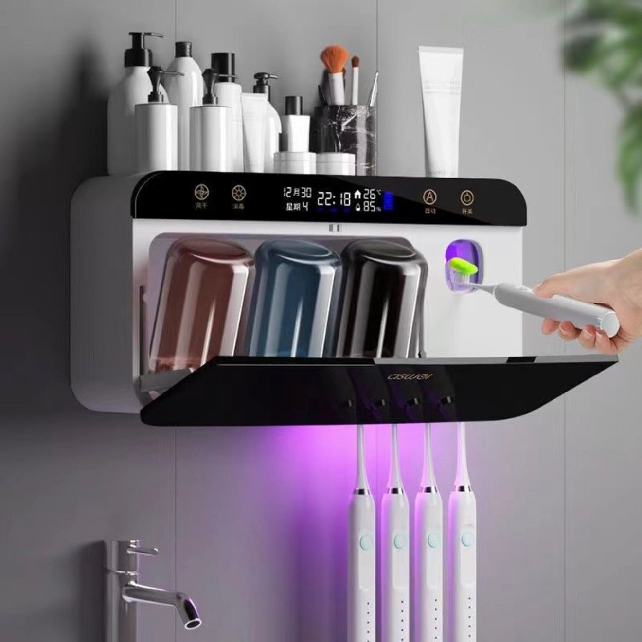 2024 Toothbrush/Toothpaste Holder #TF023