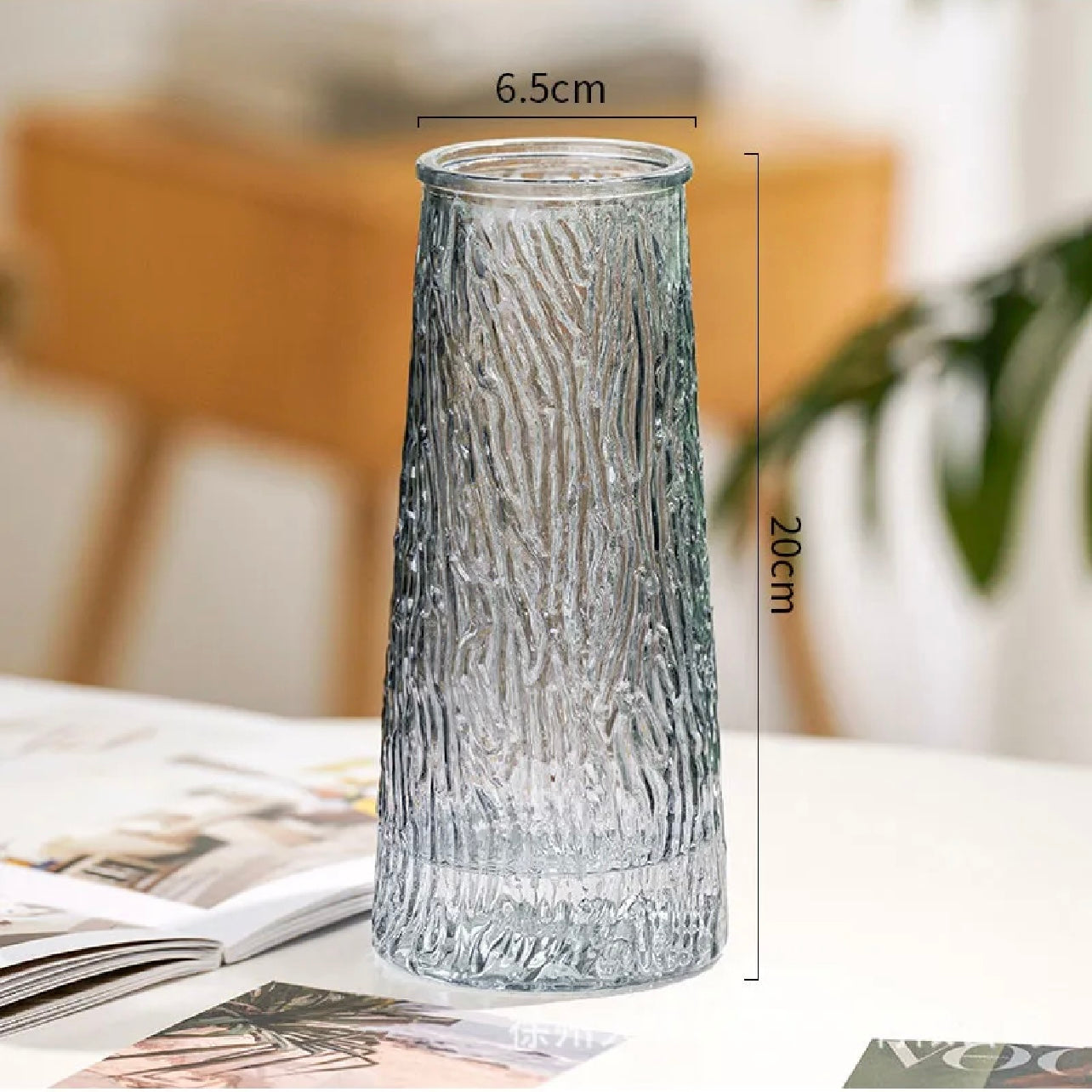 20x6.5cm - Elegant Glass Vase, Decorative Flower Arrangement Jar #GV2810