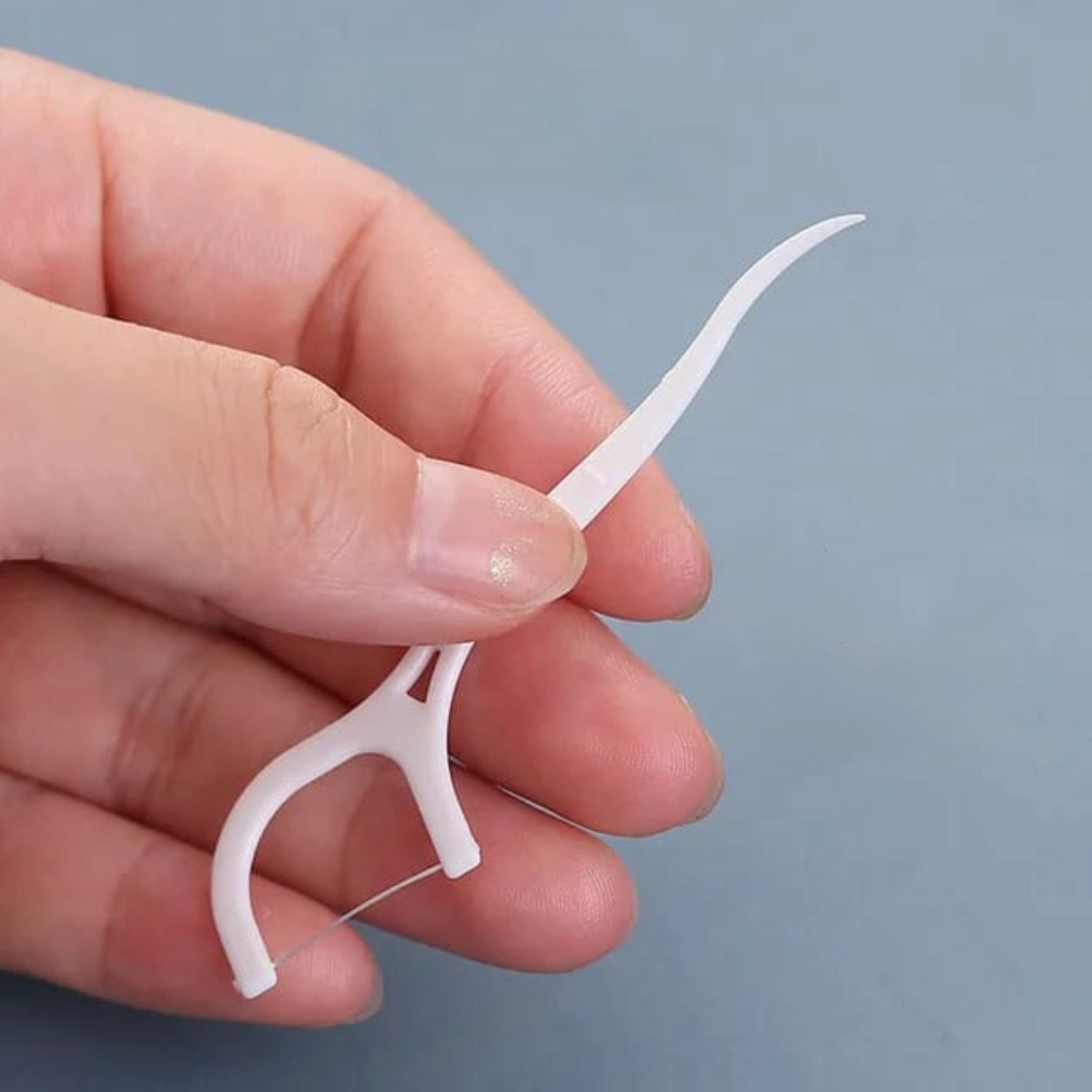 Dental Floss Pick #TF032